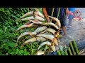 Taste Of Galo II Crystal Clear Water Fishing ARUNACHAL PRADESH