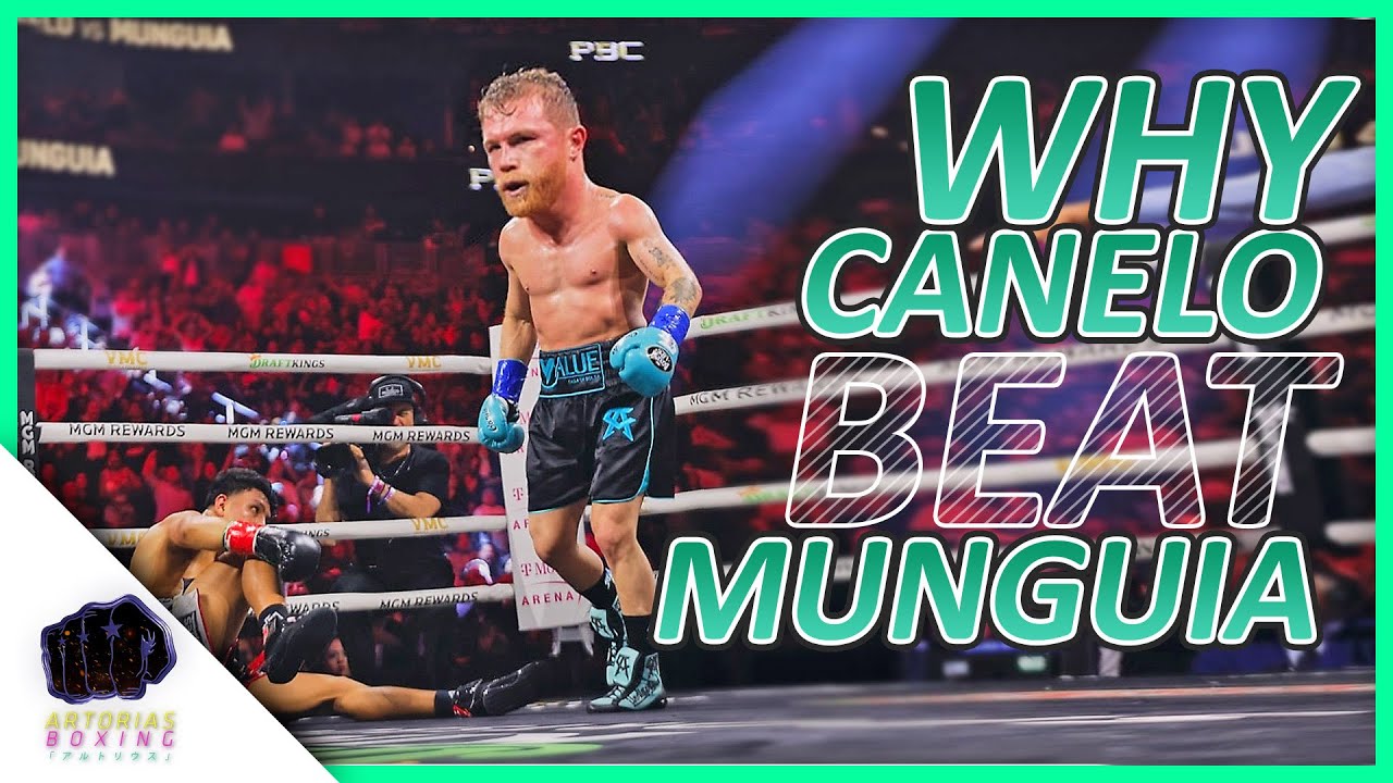 Why Canelo Beat Jaime Munguia (Landed Punches Count) Artorias Boxing