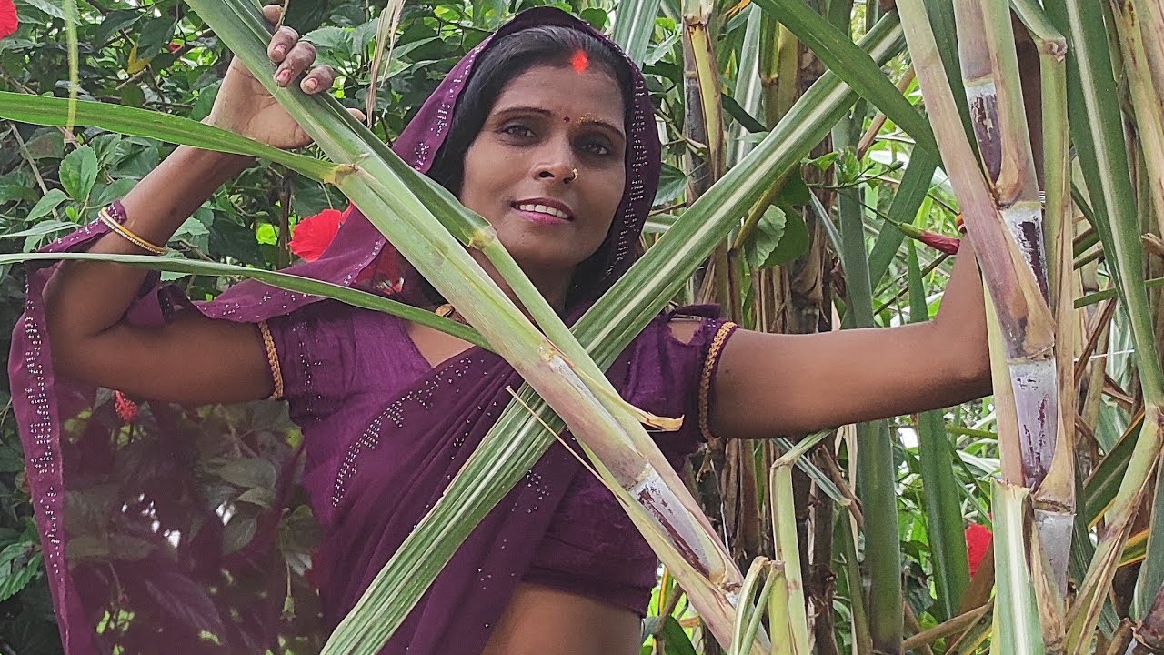आप सभी का स्वागत करते हैं 🙏🙏♥️🌺🌹