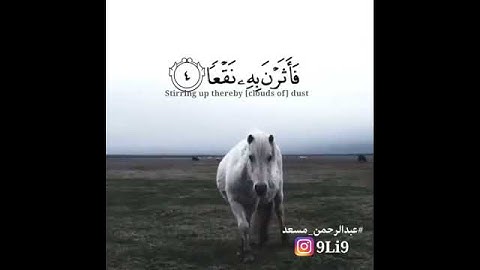 سوره العاديات بصوت القارئ  عبد الرحمن مسعد | حالات واتس اب HIGH