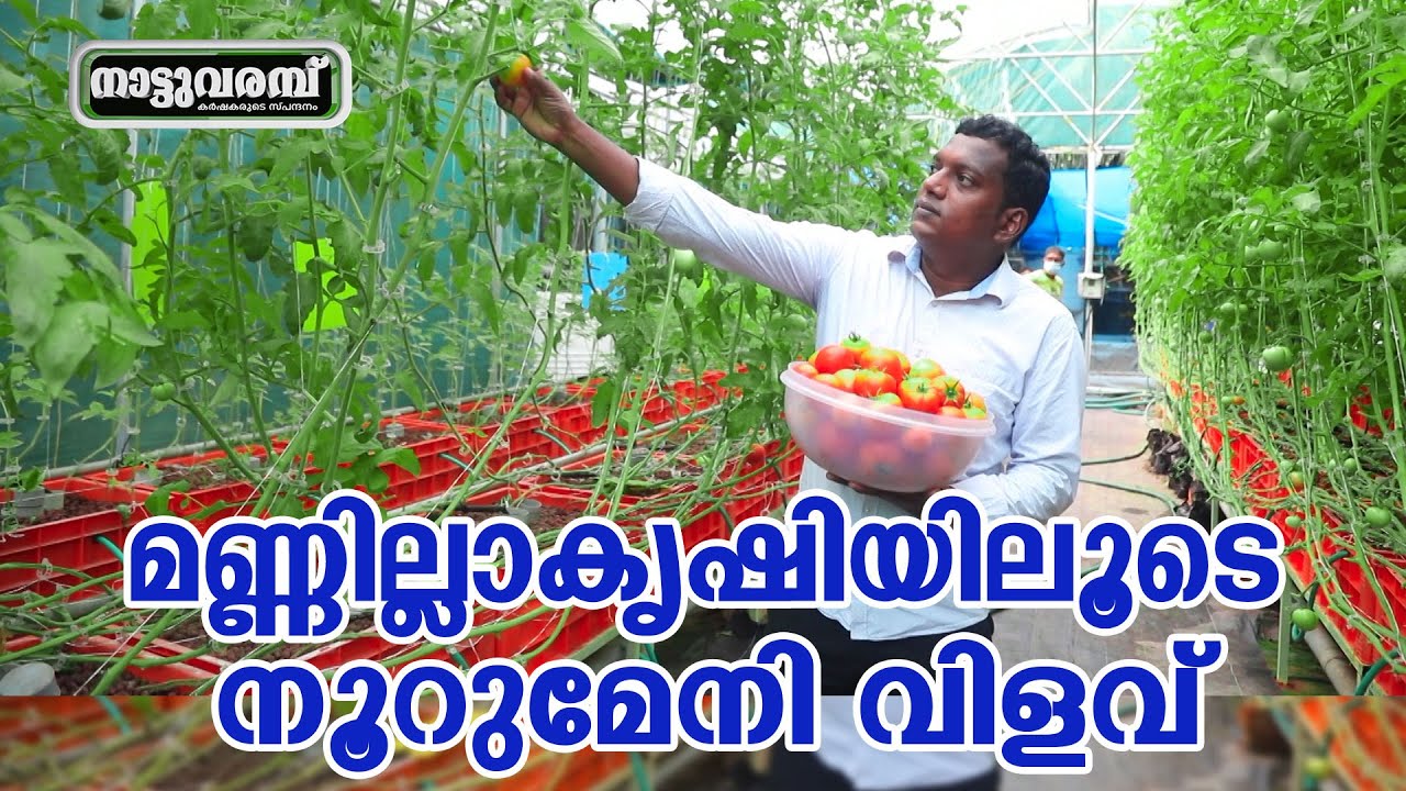 മണ്ണില്ലാകൃഷിയിലൂടെ നൂറുമേനി വിളവ്‌  | ANAZ SREEKARYAM ORGANIC FARMING | NATTUVARAMBU  | JANAM TV
