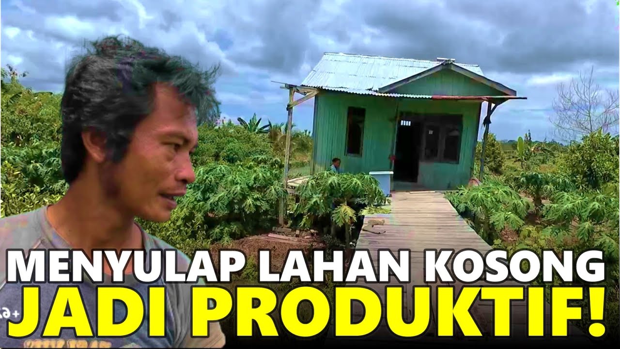 DARI WONOGIRI, PETANI INI MANFAATKAN LAHAN KOSONG PEMUKIMAN TRANSMIGRASI SEPUNGGUR, KALIMANTAN UTARA