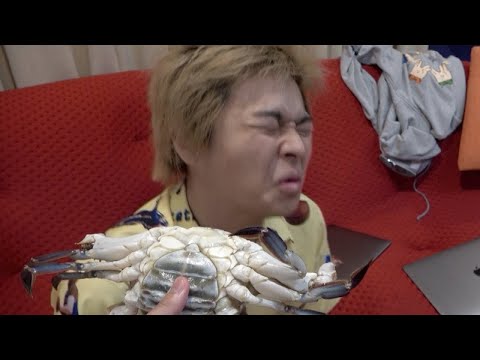 てつやガニの臭いを嗅いだしばゆーのPretender