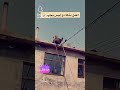 اعمل بذكاء وليس بجهد