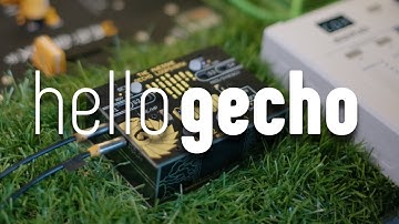 Meet the Awesome Gecho Loopsynth