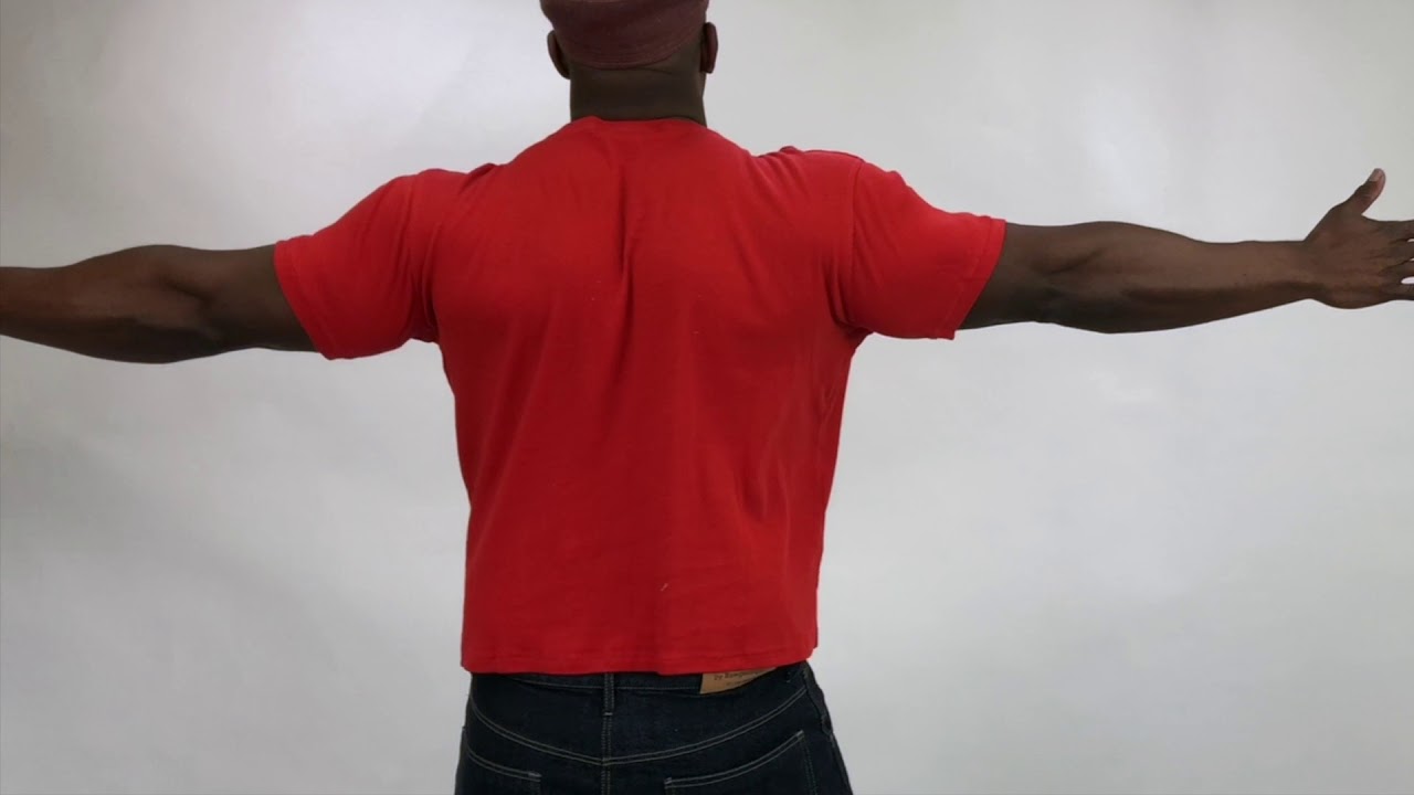 100% Organic Cotton Dressy T-shirt