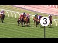 VRC Summer Fun Race Day | Race 6 |  VOBIS Gold Reef - Merrigold
