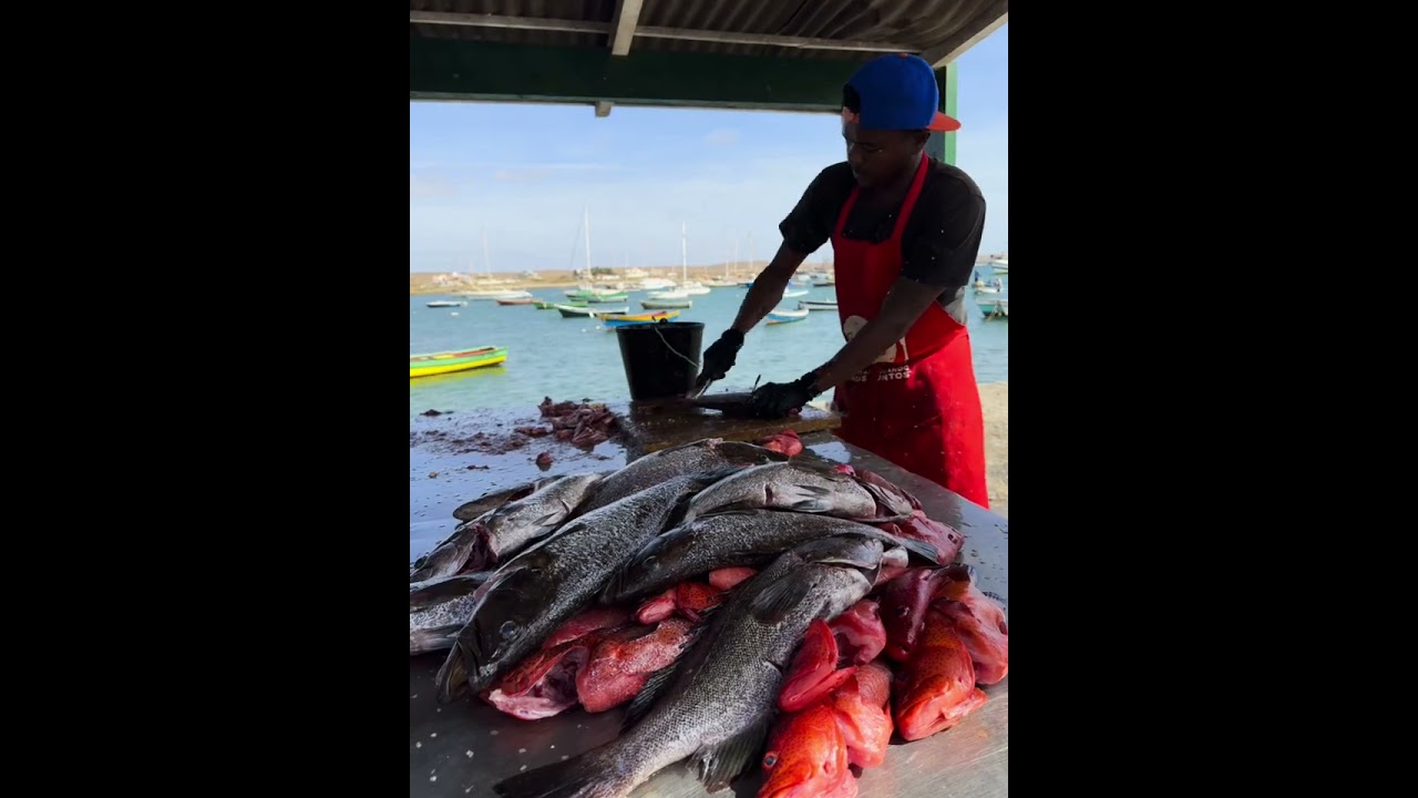West Africa , Sal (driving around the island ) ❤️