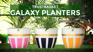 Trustbasket Galaxy Planter Set Of 3 Premium Quality Best Decorative Planters