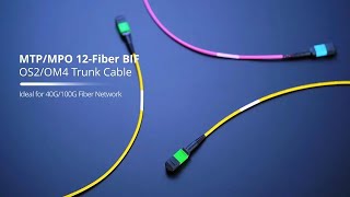 MTP/MPO Trunk Cable for 40G/100G Transmission | FS