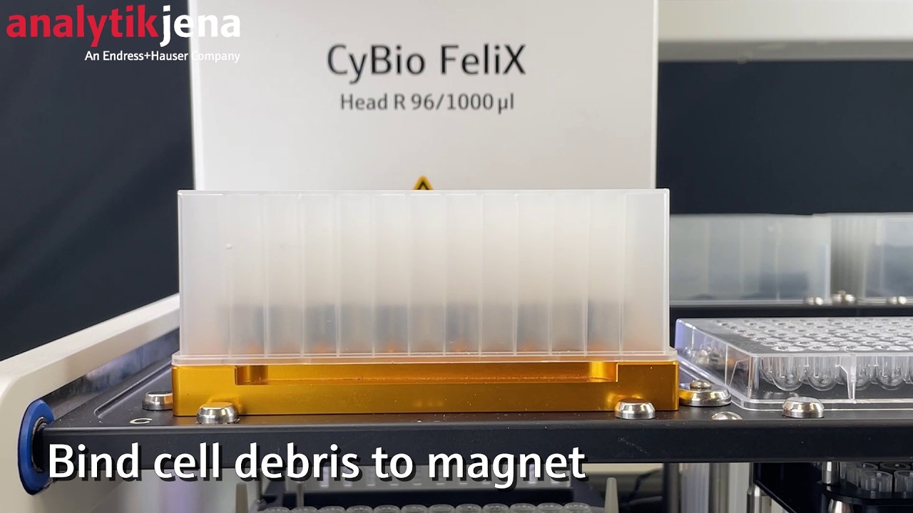 Automated Plasmid Purification - Analytik Jena