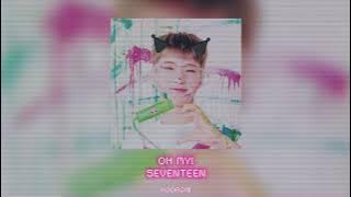 oh my! - seventeen(sped up)
