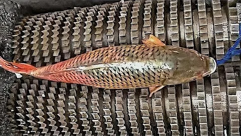 Facts you never know