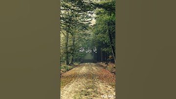 رعد الكردي #قرآن الكريم #تلاوه هادئه #اكسبلور #المصحف
