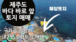 누구나 탐나는 바다풍경, 82평 소형토지 매매 - 제주도부동산
