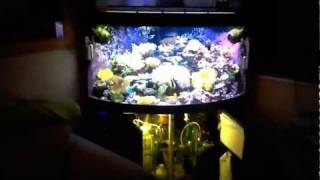 Reef Tank  Juwel Trigon 350l  .2. screenshot 3