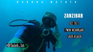 Tanzania - Zanzibar scuba diving تنزانيا - زنجبار