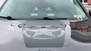 whelen triple led dashmiser