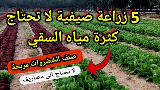 5 محاصيل زراعة صيفية لا تحتاج إلى كمية كبيرة من مياه الري مربحة غير مكلفة !!