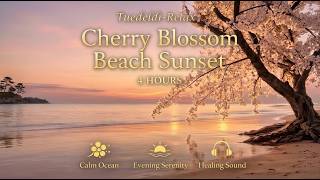 🌸 Cherry Blossom Beach Sunset | 4 Hours of Calm Ocean Ambience screenshot 3