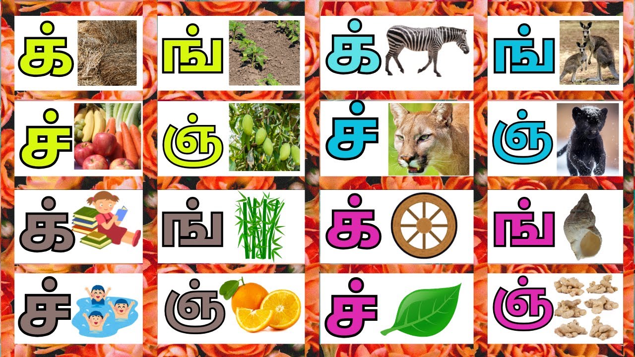 மெய் எழுத்துக்கள்||க் ங் ச் ஞ் ட் ண் த் ந் ப் ம் ய் ர் ல் வ் ழ் ள் ற் ...