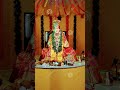 🌺🙏🌺स्वामी भक्त ♥ ️ ♥ ️ जय जय स्वामी समर्थ