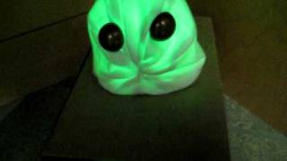 Frog Prototype Kinetic Model