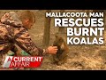 Local hero rescues koalas from fire devastation | A Current Affair