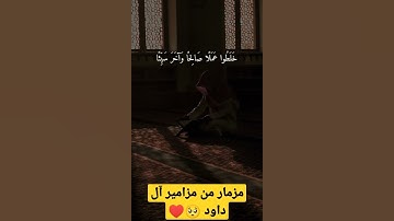 القرآن الكريم بصوت جميل جداً وكأنه مزمار من مزامير ال داود 🥺♥️