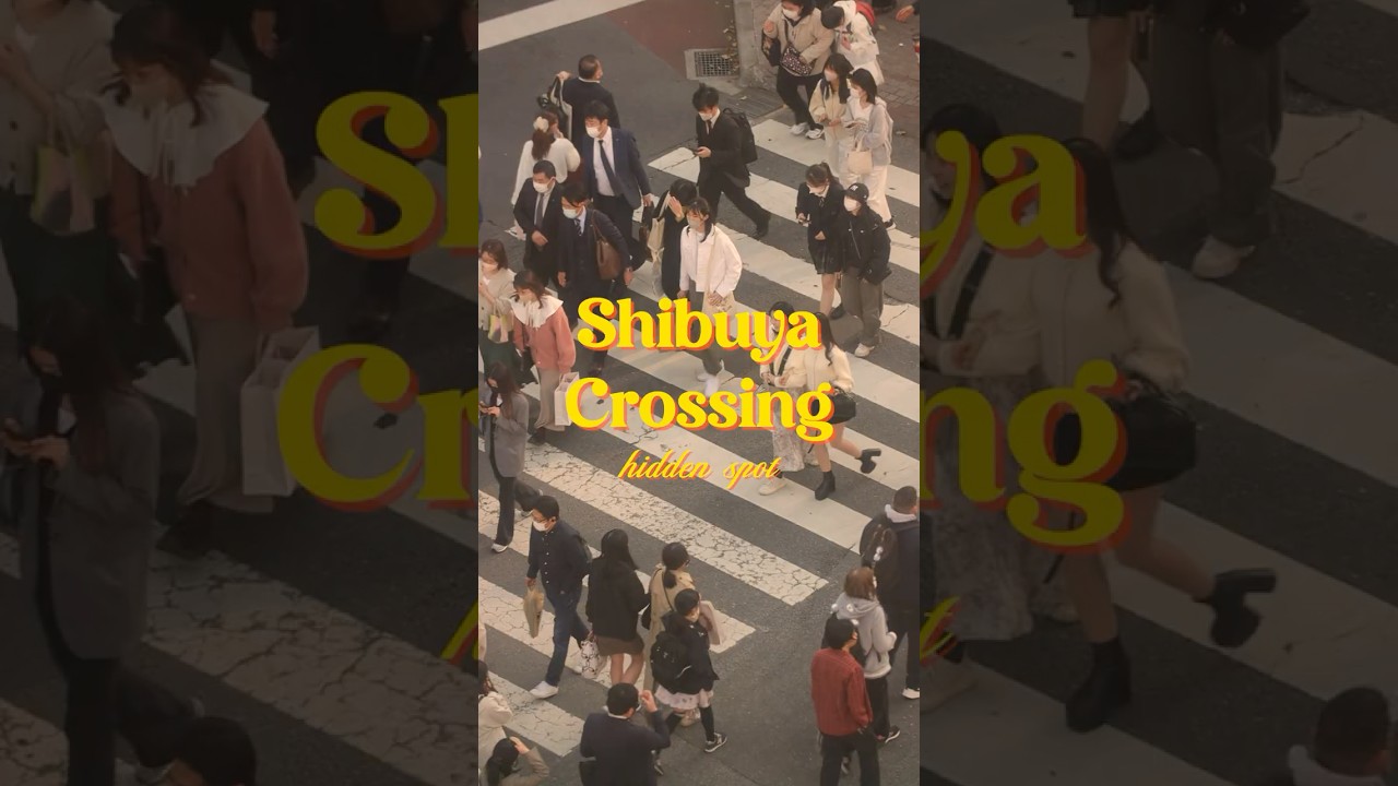 Hidden Gem in Tokyo: Drink With a View of Shibuya Crossing!