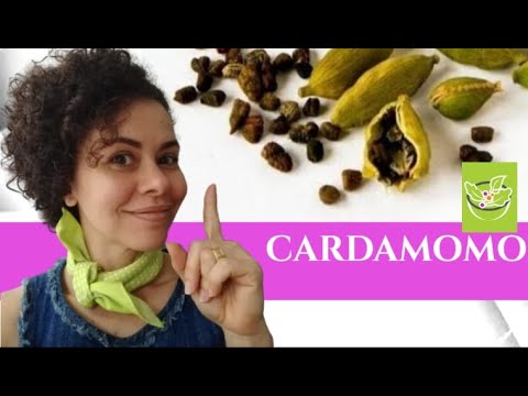 Vídeo: >> Cardamomo - Benefícios E Utilizações De Cardamomo, Cardamomo Para Emagrecer, Chá De Cardamomo, óleo De Cardamomo. Cardamomo Verde E Preto