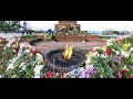 Одесса, 9 мая 2020 года, Аллея Славы. Возложение цветов.