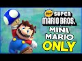 Is it possible to beat New Super Mario Bros. DS as Mini-Mario?