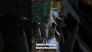 Niadra QUOTES - StarCraft 2 #quotes #starcraft2 #funny #funnyquotes #sc2 #zerg
