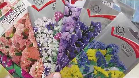 ВАЖНО ! СТАТИЦА ! КАК и СКОЛЬКО сажать !