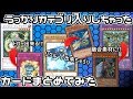 【遊戯王】うっかりカテゴリ入りしてしまったカード達まとめてみた
