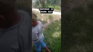 Download Lagu KAPORAK DOMANG JO BANG ABI#shortvideo #shorts #petani MP3