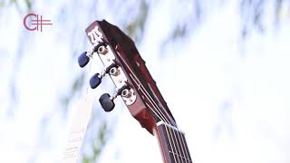 h l mu n guitar c#10ck