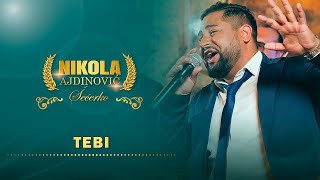 Video thumbnail of "Nikola Ajdinovic - Tebi ( orkestar Dragana Cirkovica Cire )"