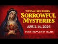 ✝️ Holy Rosary Tuesday | Sorrowful Mysteries with Litany of the Blessed Virgin Mary | April 14, 2026