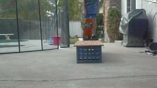 New Ledge Sesh
