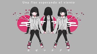 【Inaba Cumori ft. Meika Hime】 The Flower Waiting for the Wind (カゼマチグサ) 【Sub Español】