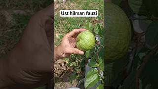 Ya Allah Cukupkan Aku Dengan Yg Halalusthilmanfauzi