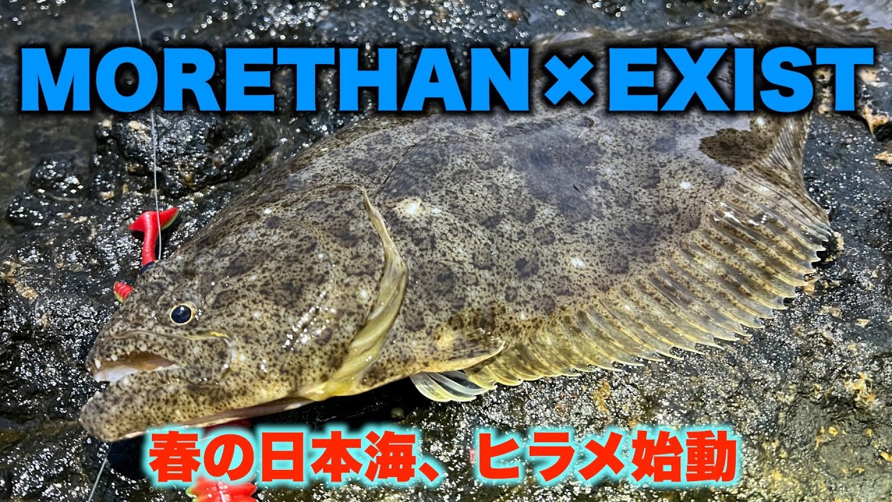 2025年初・春のヒラメ釣行】北海道日本海に挑む｜DAIWAタックルで狙う
