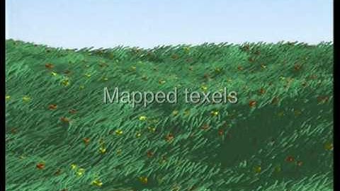 inria 311 animated texels 768x576 5Mbit