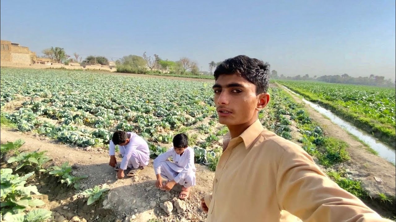 Tenoo Bhai Village Ki Sair Karne