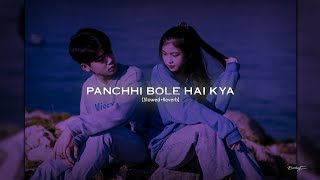 Panchhi Bole Hai Kya 「Slowed Reverb」- Palak Muchhal
