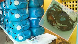Self built vertical RAS | Mudcrab fattening concept and the advantages of the system.