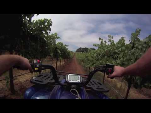 Winemaker cam: touring our vineyards on an electri...