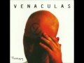 Venaculas - Plain To See